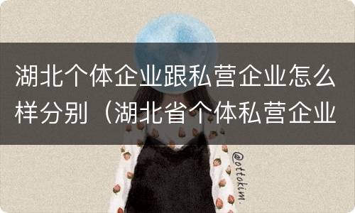 湖北个体企业跟私营企业怎么样分别（湖北省个体私营企业协会）