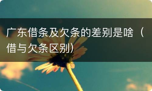 广东借条及欠条的差别是啥（借与欠条区别）