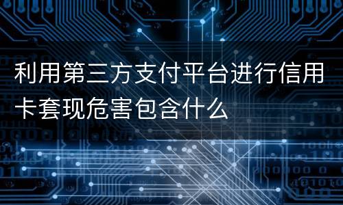 利用第三方支付平台进行信用卡套现危害包含什么