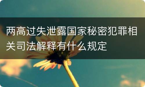 两高过失泄露国家秘密犯罪相关司法解释有什么规定