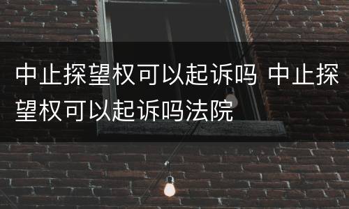 中止探望权可以起诉吗 中止探望权可以起诉吗法院