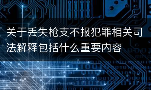 关于丢失枪支不报犯罪相关司法解释包括什么重要内容