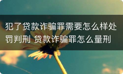 犯了贷款诈骗罪需要怎么样处罚判刑 贷款诈骗罪怎么量刑