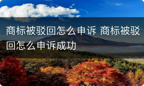 商标被驳回怎么申诉 商标被驳回怎么申诉成功