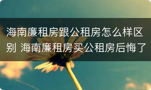 海南廉租房跟公租房怎么样区别 海南廉租房买公租房后悔了