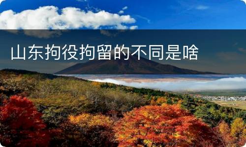 山东拘役拘留的不同是啥