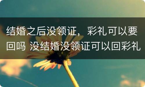 结婚之后没领证，彩礼可以要回吗 没结婚没领证可以回彩礼吗