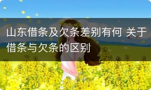 山东借条及欠条差别有何 关于借条与欠条的区别