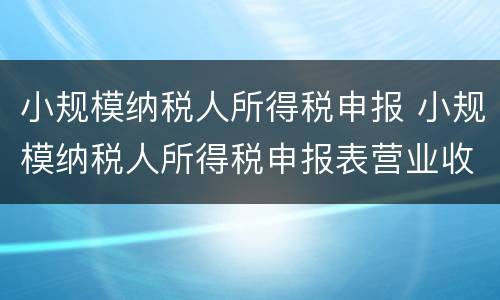 小规模纳税人所得税申报 小规模纳税人所得税申报表营业收入