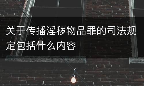 关于传播淫秽物品罪的司法规定包括什么内容
