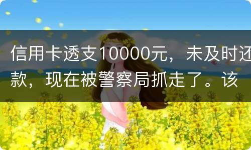 信用卡透支10000元，未及时还款，现在被警察局抓走了。该如何处理