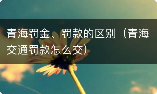 青海罚金、罚款的区别（青海交通罚款怎么交）