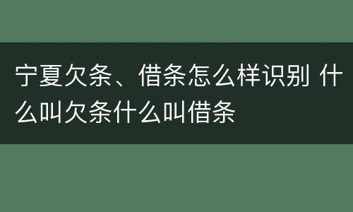 宁夏欠条、借条怎么样识别 什么叫欠条什么叫借条