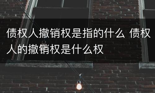 债权人撤销权是指的什么 债权人的撤销权是什么权