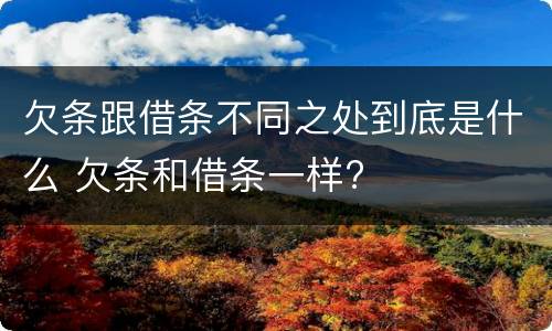 欠条跟借条不同之处到底是什么 欠条和借条一样?