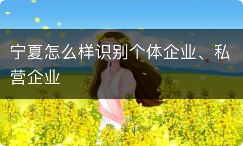 宁夏怎么样识别个体企业、私营企业