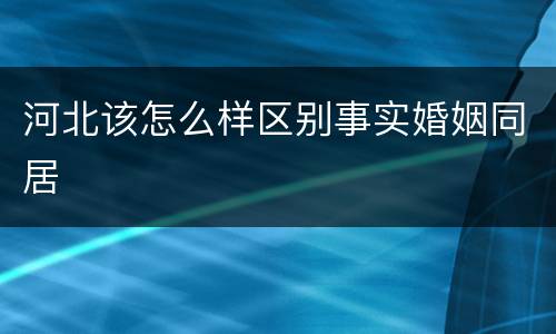 河北该怎么样区别事实婚姻同居