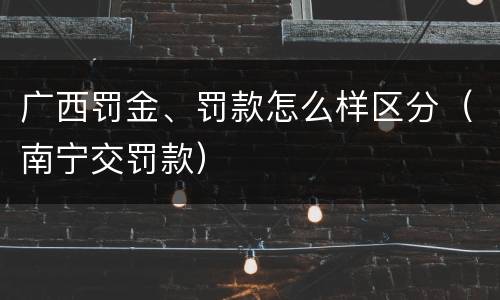 广西罚金、罚款怎么样区分（南宁交罚款）