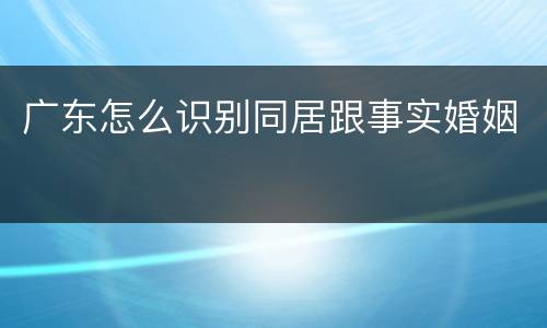 广东怎么识别同居跟事实婚姻