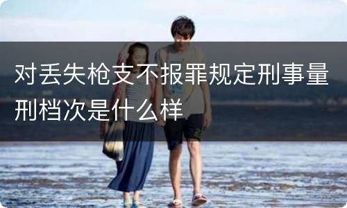 对丢失枪支不报罪规定刑事量刑档次是什么样