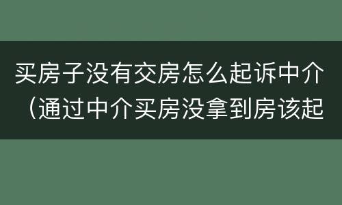 买房子没有交房怎么起诉中介（通过中介买房没拿到房该起诉谁）