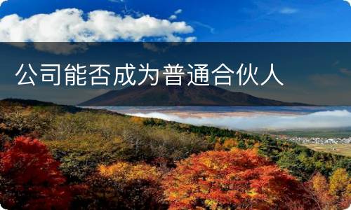 公司能否成为普通合伙人