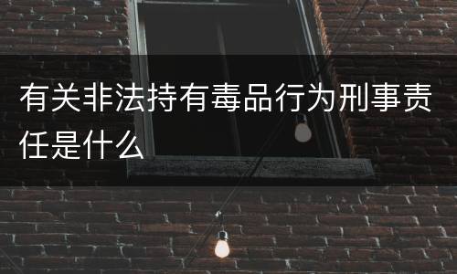 有关非法持有毒品行为刑事责任是什么