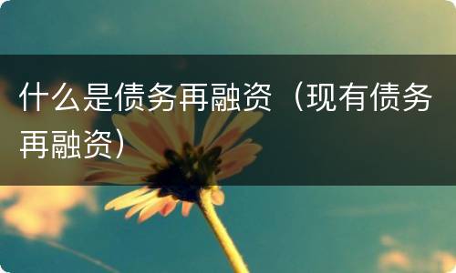 什么是债务再融资（现有债务再融资）