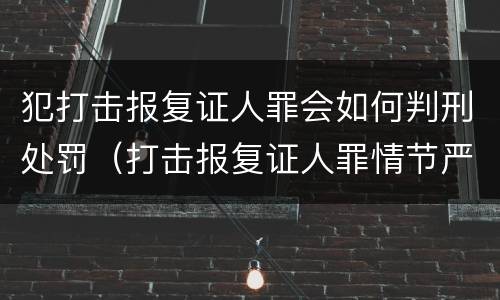 犯打击报复证人罪会如何判刑处罚（打击报复证人罪情节严重）