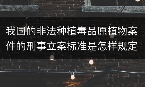 我国的非法种植毒品原植物案件的刑事立案标准是怎样规定