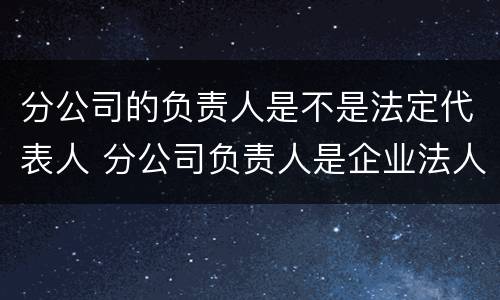 分公司的负责人是不是法定代表人 分公司负责人是企业法人吗
