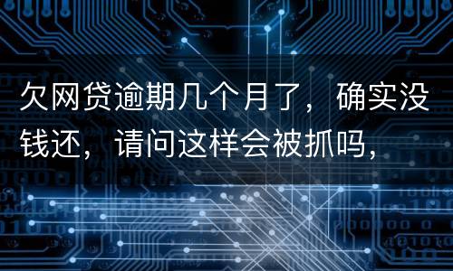 欠网贷逾期几个月了，确实没钱还，请问这样会被抓吗，