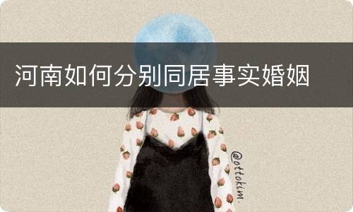 河南如何分别同居事实婚姻