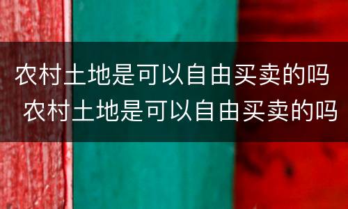 农村土地是可以自由买卖的吗 农村土地是可以自由买卖的吗