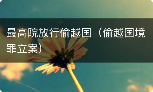 最高院放行偷越国（偷越国境罪立案）