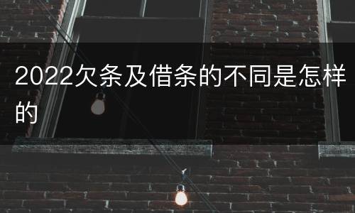 2022欠条及借条的不同是怎样的