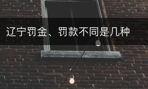 辽宁罚金、罚款不同是几种