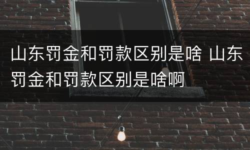 山东罚金和罚款区别是啥 山东罚金和罚款区别是啥啊