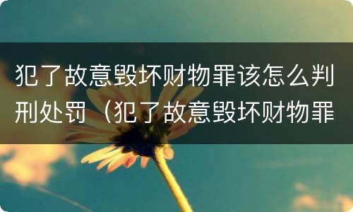 犯了故意毁坏财物罪该怎么判刑处罚（犯了故意毁坏财物罪该怎么判刑处罚标准）