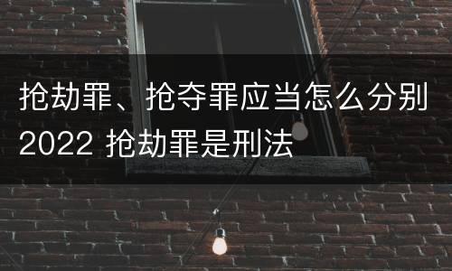抢劫罪、抢夺罪应当怎么分别2022 抢劫罪是刑法