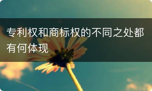 专利权和商标权的不同之处都有何体现