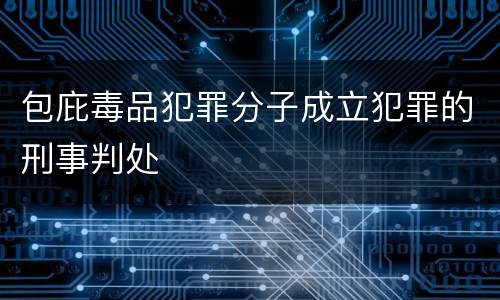 包庇毒品犯罪分子成立犯罪的刑事判处