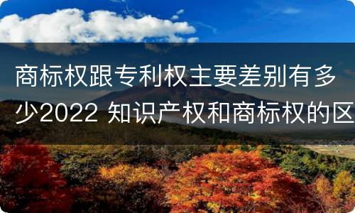 商标权跟专利权主要差别有多少2022 知识产权和商标权的区别