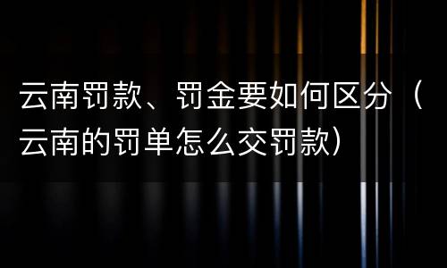 云南罚款、罚金要如何区分（云南的罚单怎么交罚款）