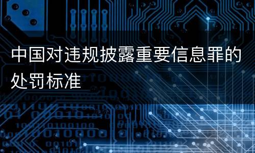 中国对违规披露重要信息罪的处罚标准