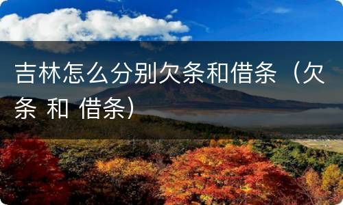 吉林怎么分别欠条和借条（欠条 和 借条）