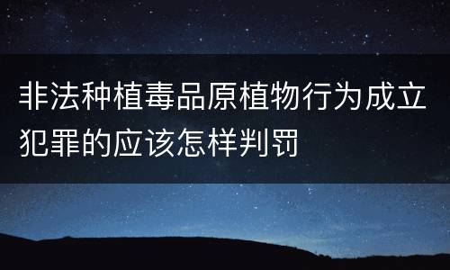 非法种植毒品原植物行为成立犯罪的应该怎样判罚