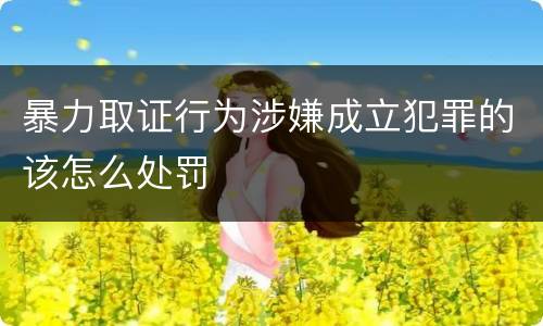 暴力取证行为涉嫌成立犯罪的该怎么处罚