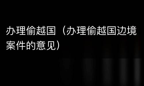 办理偷越国（办理偷越国边境案件的意见）