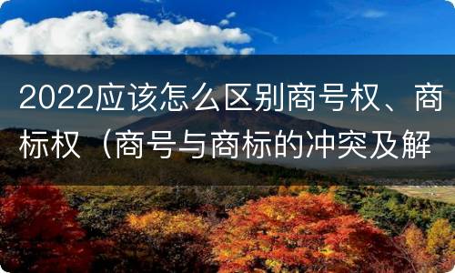 2022应该怎么区别商号权、商标权（商号与商标的冲突及解决措施）